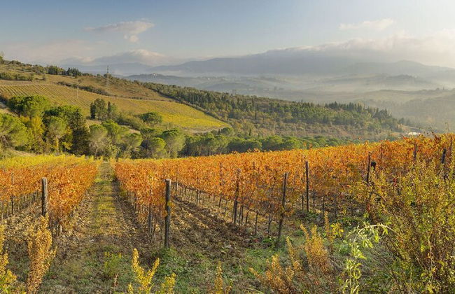 Farm House La Presura - Photo 80