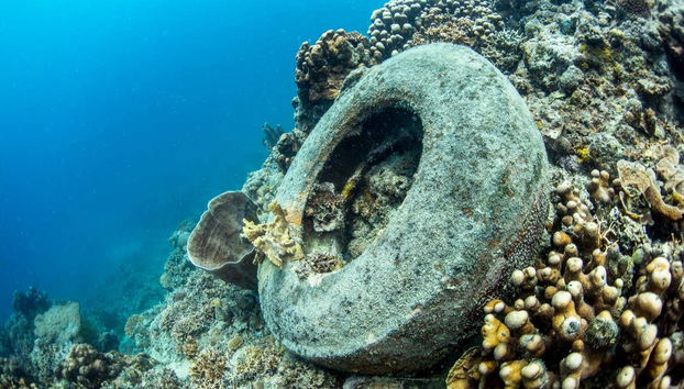 Plongée à Moalboal