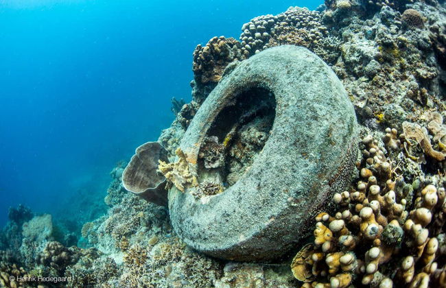 Buceo en Moalboal - Foto 6