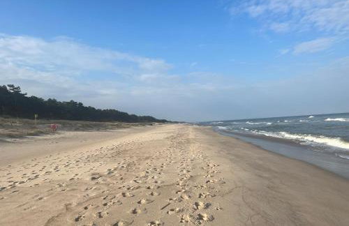 Głębia Bałtyku - Foto 17