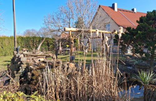 Pension Ronnys wilde Wiese - Foto 6