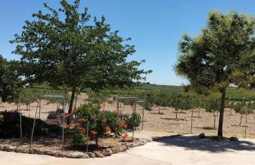 Casa Rural Las Caleras - Foto 53