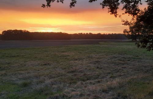 Holiday Home Haus Elbrose inmitten von Rosen mit Elbdeichzugang by Interhome - Foto 27