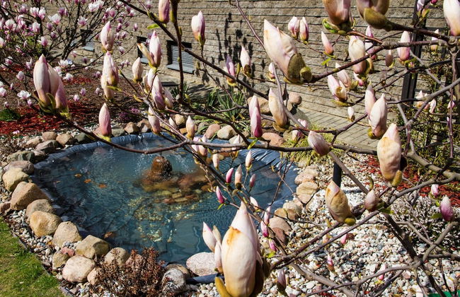 Warsaw Apartments Magnolie - Photo 46