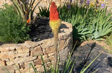 Le Clos de Kermadec - Foto 53