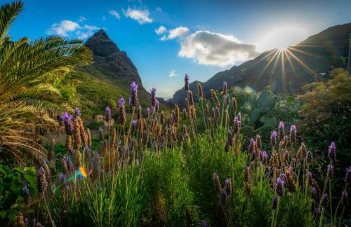 Casa Rural La Tinta - Foto 11