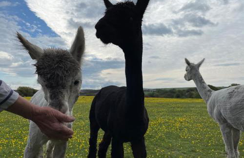 Wynards Farm Sunset room - Photo 11