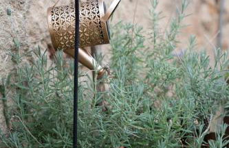 Masia Cal Fuster - Foto 27