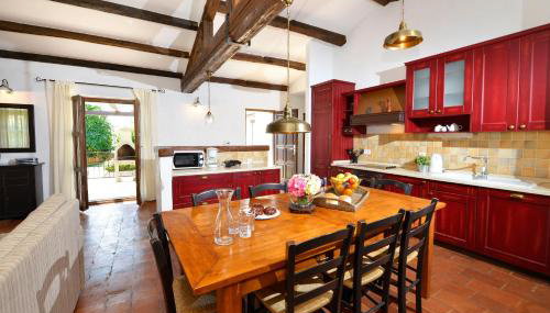 Jurinea - Foto 5, Other