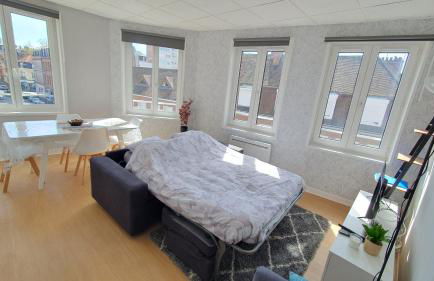 Cantimpré6 trois pièces centre très lumineux - Foto 18