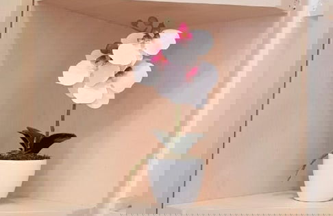 Ksenia Apartment - Photo 10