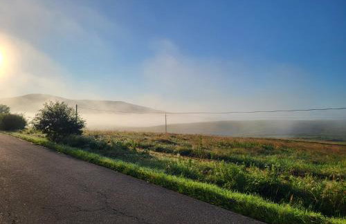 Bieszczadzka Zasadzka - Foto 9