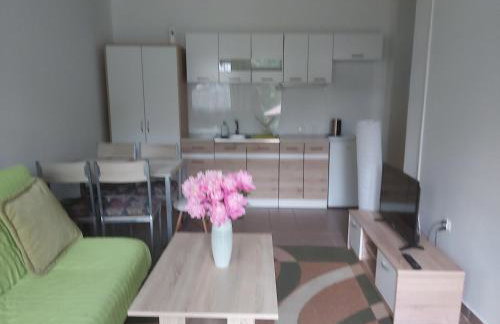 Leśne Zacisze Kretowiny 88 nad jeziorem Narie z własnymi pomostami apartamenty sezonowe lato - Foto 38