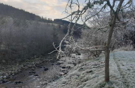 Loch Ness Balcony Apartment - Foto 34