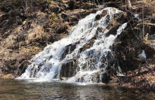 Wild Blue Yonder - Foto 36