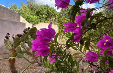 Stintino vista mare l'ancora - Photo 42