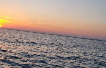 La Voile Bleue où il fait bon être plage et commerces à pied - Photo 30