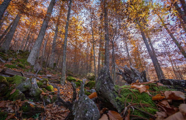 Tour en 4x4 por el valle del Ambroz - Foto 4