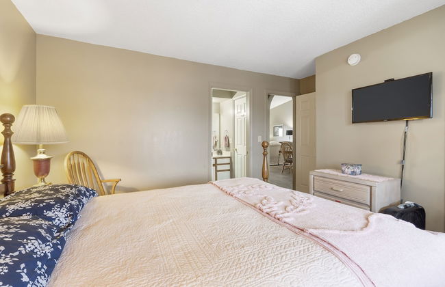 Jim and Roses Cozy Condo 15 Min to Downtown! - Photo 7