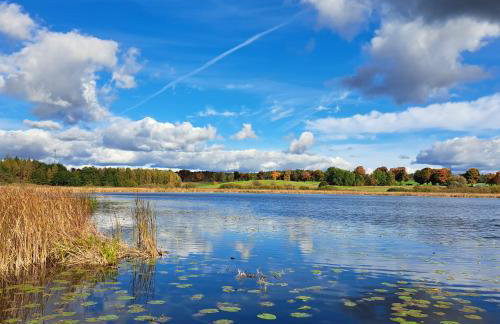 Łabądkowo - Foto 64