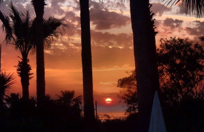 Hilltop Gardens - Foto 35