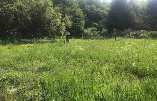 Rommersheim Forest Retreat - Foto 65