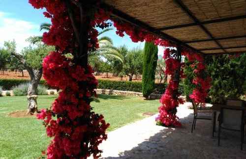 son capellot - Foto 54