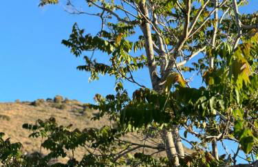 Kontos Village House - Foto 11