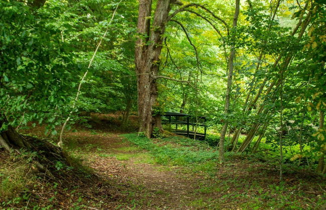 6 Person Holiday Home in Oster Assels - Foto 28