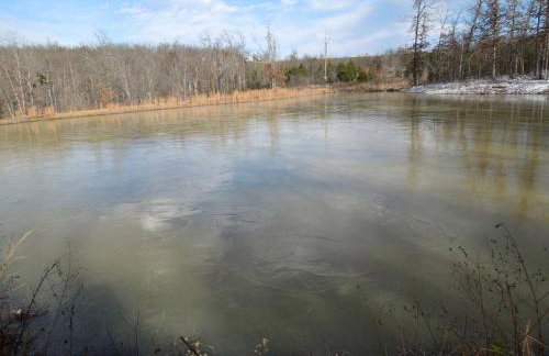 Family Cabin Vacation Getaway with Waterfall Views in Northwest Arkansas - Foto 12