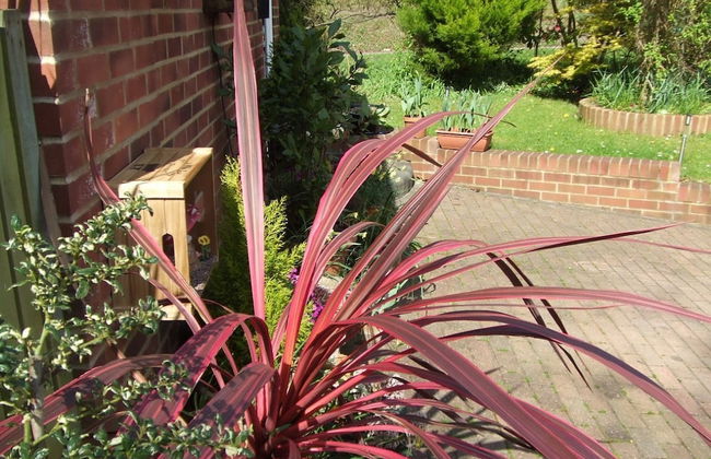 Queens Road Rental - Winchester Accommodation - Foto 33