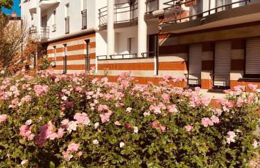 T2 Tout confort TV 55' avec canal séries netflix Disney Dazen Bein sport apple TV OCS paramount prime vidéo - Foto 16