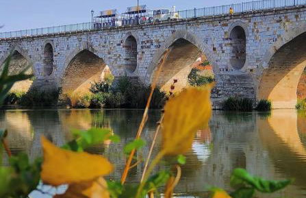 A los Ojos del Río Duero - Foto 61