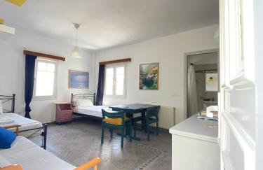 Andros Vineyard house with sea view - Foto 29