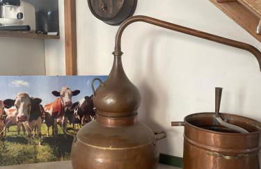 La scierie Massonat - Foto 42