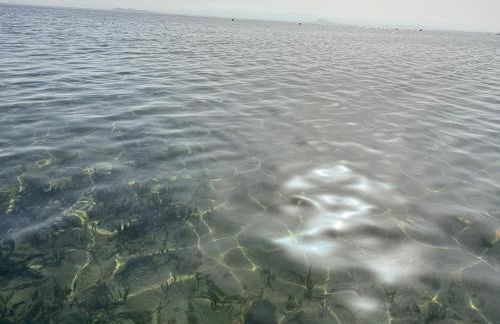 Casa Up - Orihuela Costa - Foto 13