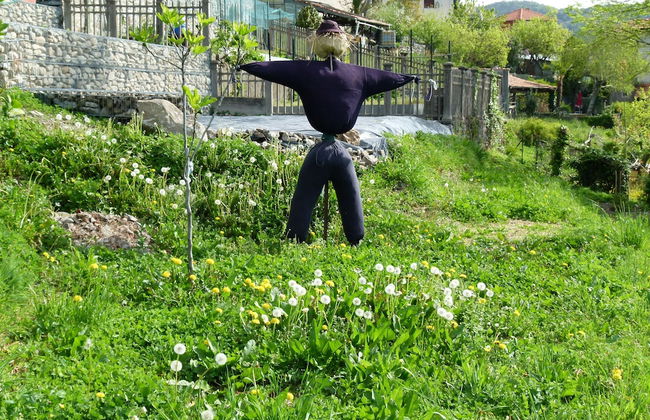 Locanda Chi Ghinn - Photo 12