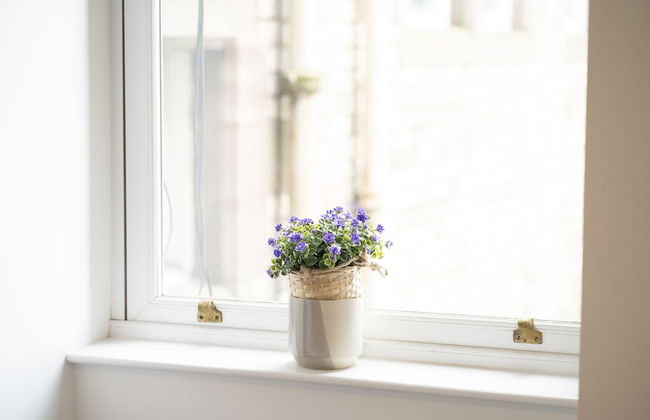 GreenStar Apartments - Foto 18