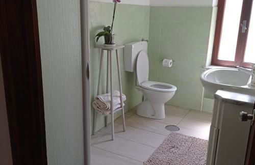 la maison des fleurs - Foto 17