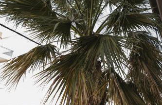 Sea View Apartment - Foto 31