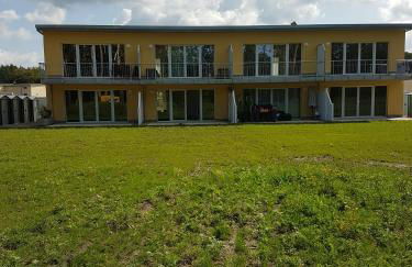 Sonnenstrahl im Küstenwald - Foto 3