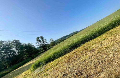 Ferienwohnung LANDZEIT - Foto 19