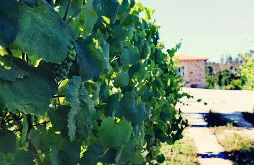 Quinta de Real - Foto 12