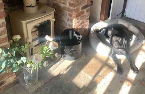 Beautiful 18th century cottage in Arundel - Foto 35