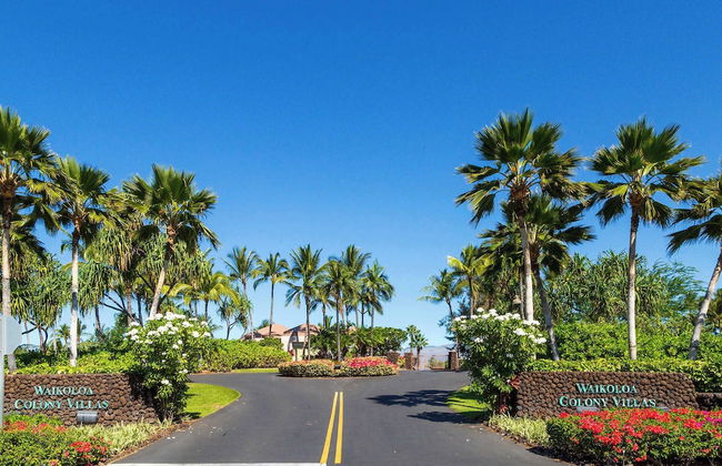 Honu Harmony Pools, Golf Privileges, & More - Foto 31