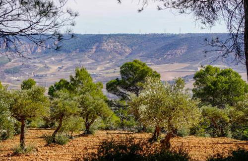 De Felipe Casa Rural - Foto 56