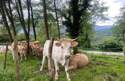 BILBO Near ático rural con terraza - Foto 41