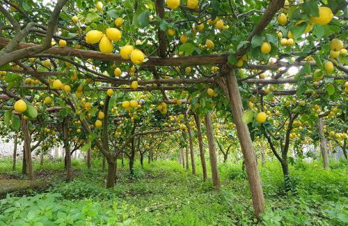 Villa Inn Costa - Foto 64