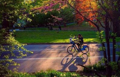 Central Park Plaza - Foto 40