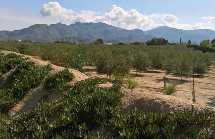 Casa Gregory - Foto 9